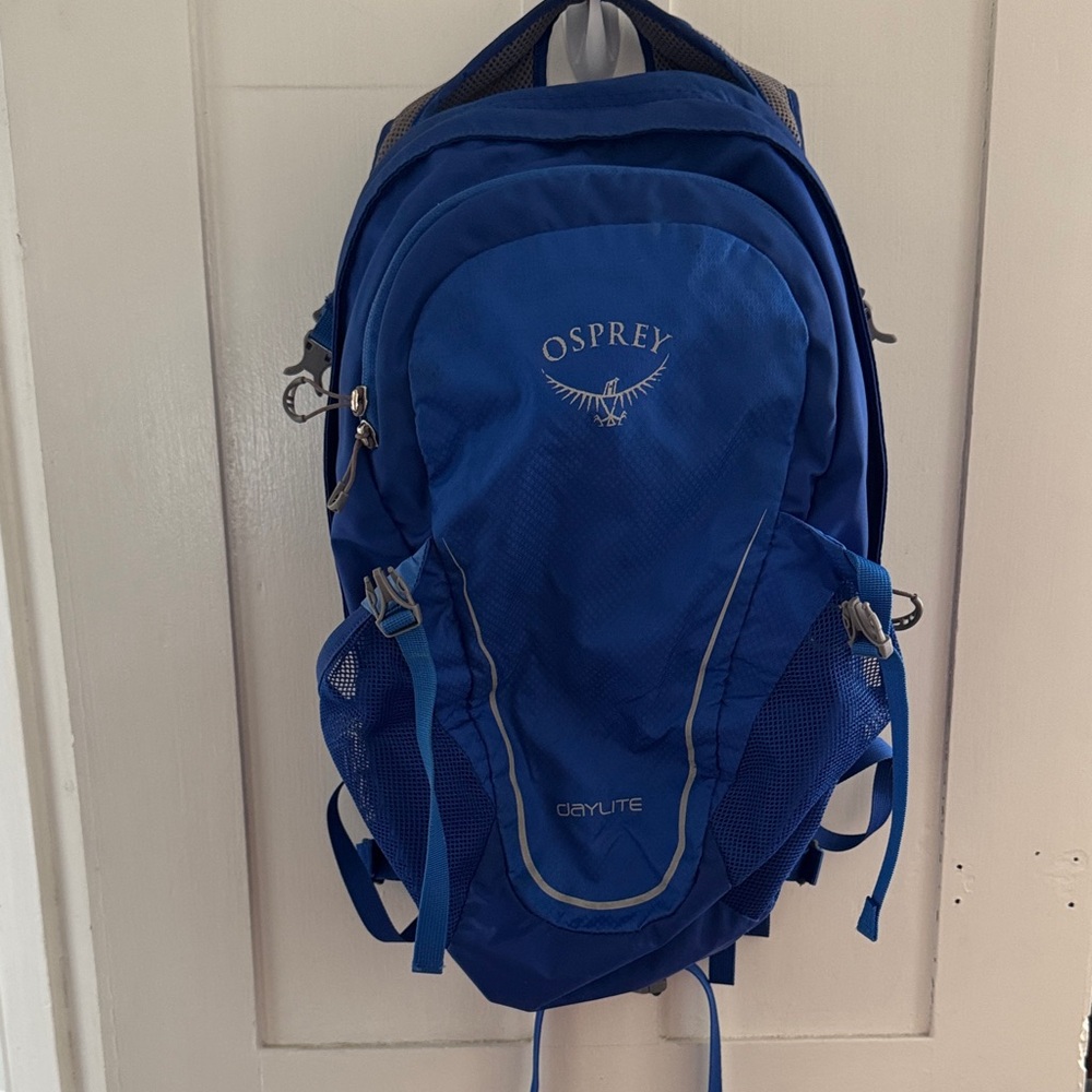 Osprey Daylite Men's Backpack in Vibrant Blue